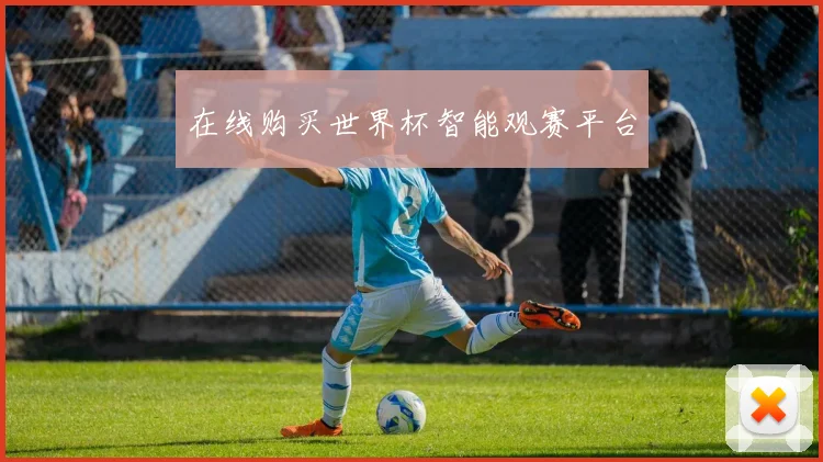 在线购买世界杯智能观赛平台