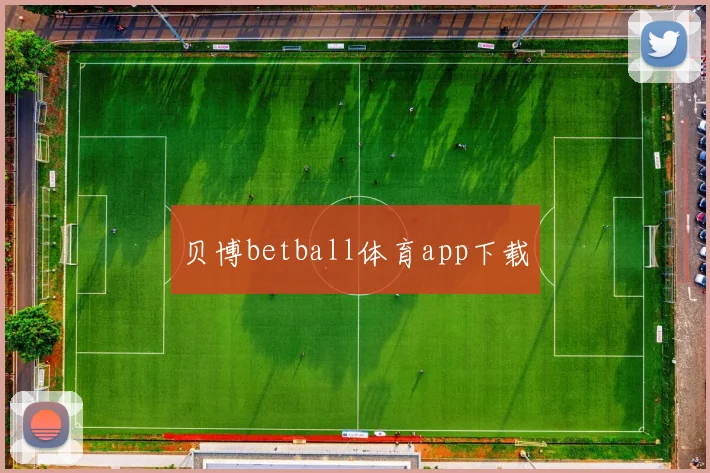 贝博betball体育app下载