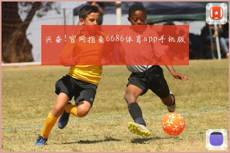 兴奋!官网指南6686体育app手机版