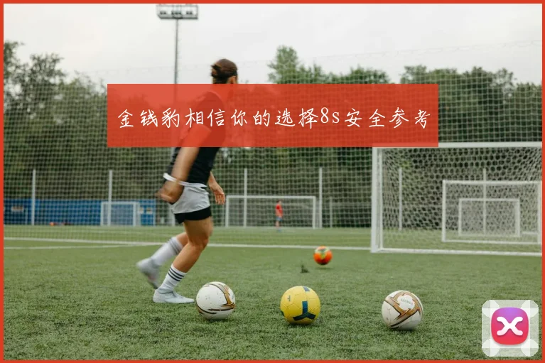 金钱豹相信你的选择8s安全参考