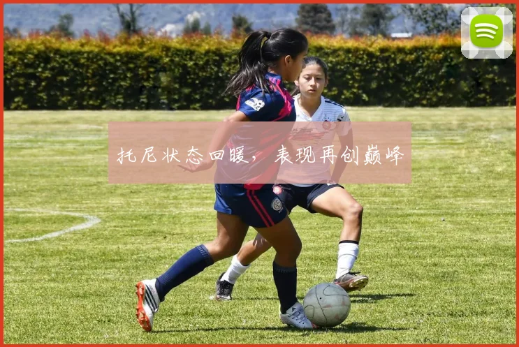 托尼状态回暖，表现再创巅峰