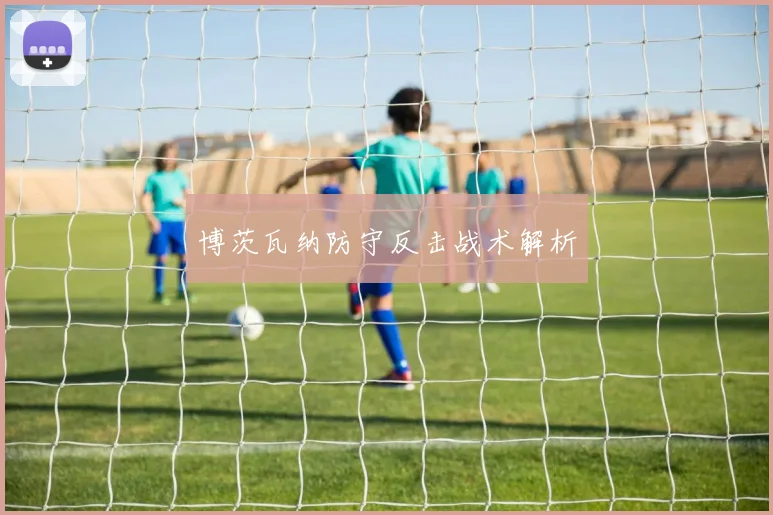 博茨瓦纳防守反击战术解析