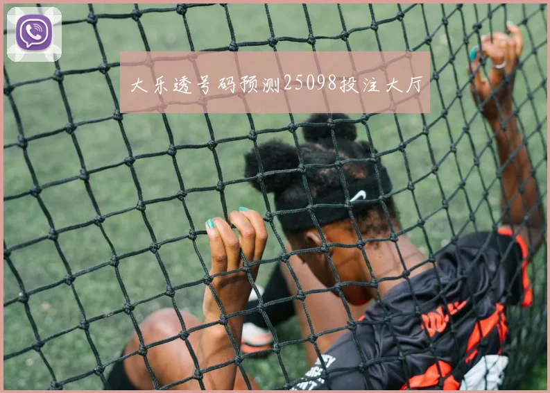 大乐透号码预测25098投注大厅