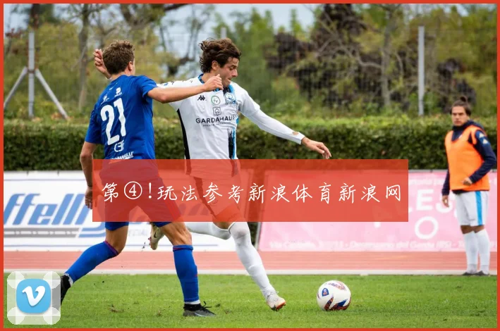 第④!玩法参考新浪体育新浪网
