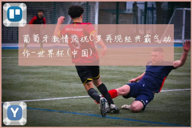 葡萄牙激情庆祝C罗再现经典霸气动作-世界杯(中国)