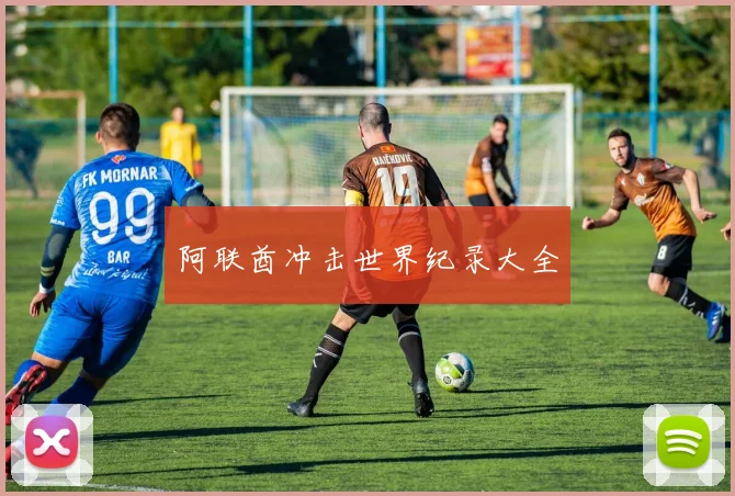 阿联酋冲击世界纪录大全