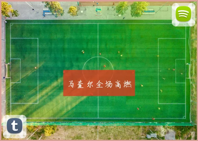 马奎尔全场高燃