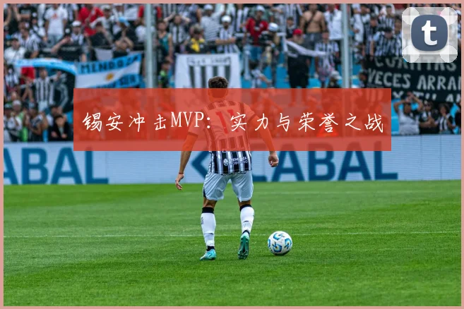 锡安冲击MVP：实力与荣誉之战