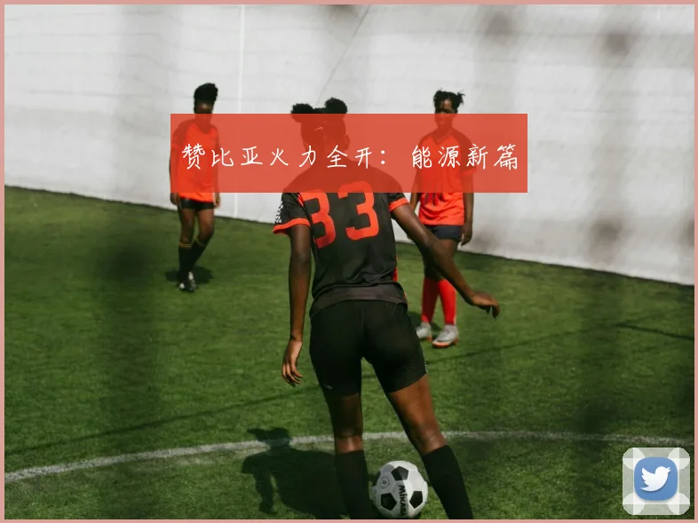 赞比亚火力全开:能源新篇