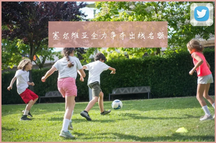 塞尔维亚全力争夺出线名额
