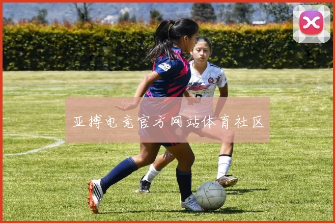 亚搏电竞官方网站体育社区