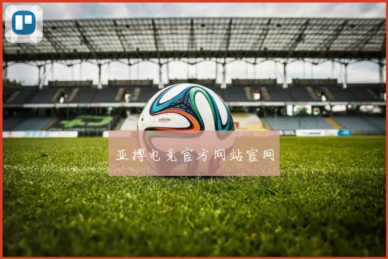 亚搏电竞官方网站官网