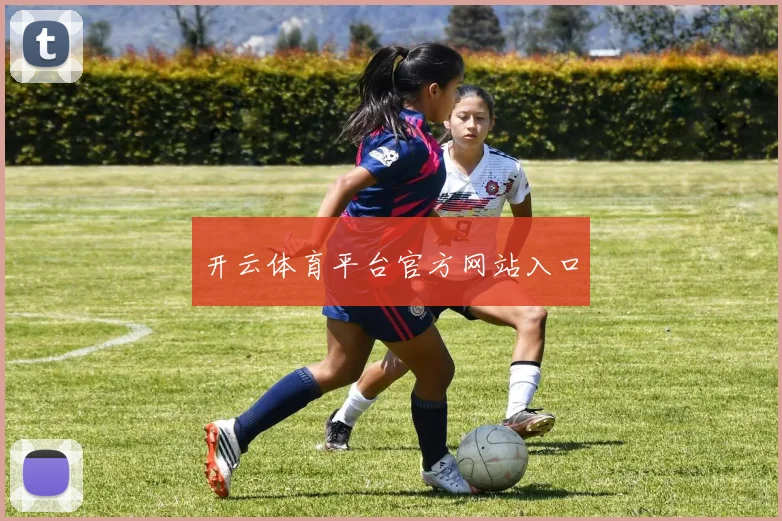 开云体育平台官方网站入口