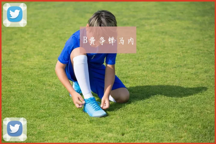 B费争锋马内