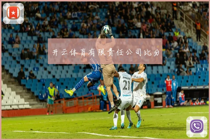 开云体育有限责任公司比分