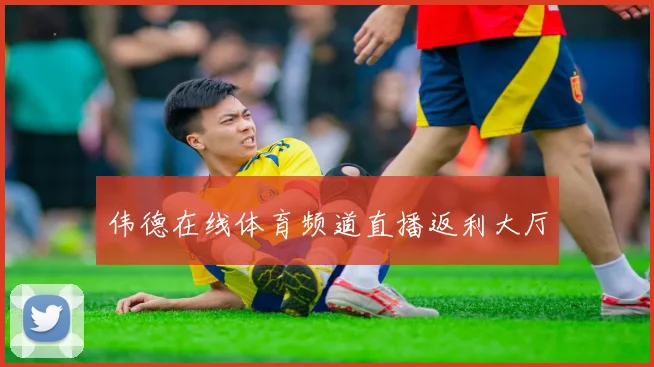 伟德在线体育频道直播返利大厅