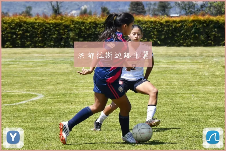 洪都拉斯边路飞翼
