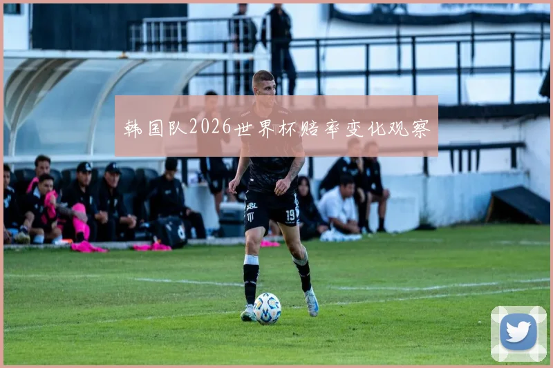 韩国队2026世界杯赔率变化观察