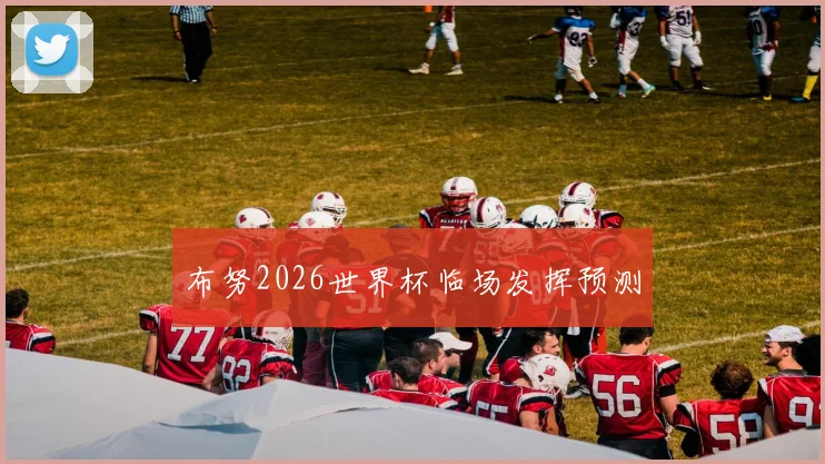 布努2026世界杯临场发挥预测