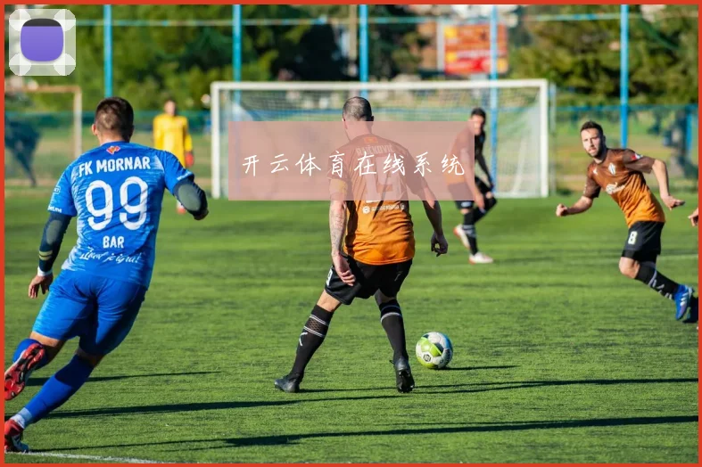 开云体育在线系统