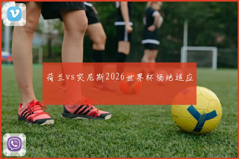 荷兰vs突尼斯2026世界杯场地适应