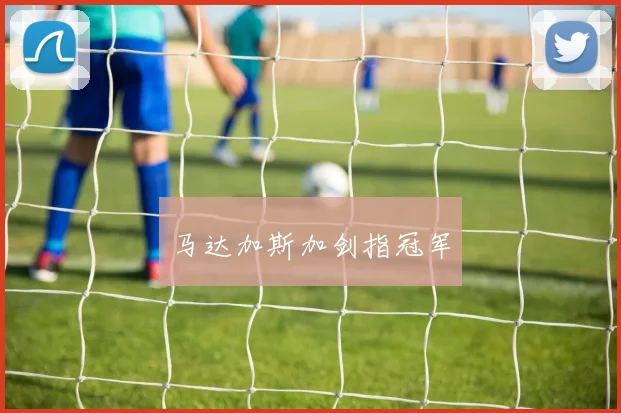 马达加斯加剑指冠军