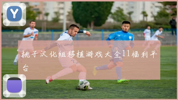 桃子汉化组移植游戏大全11福利平台