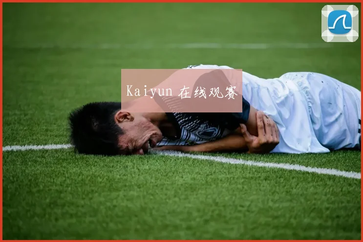 Kaiyun 在线观赛