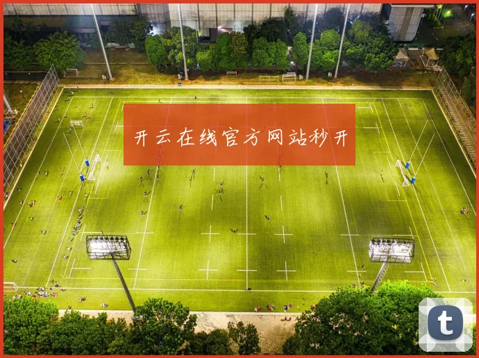 开云在线官方网站秒开