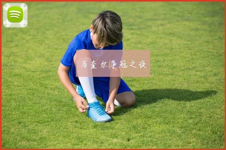 马奎尔争冠之夜