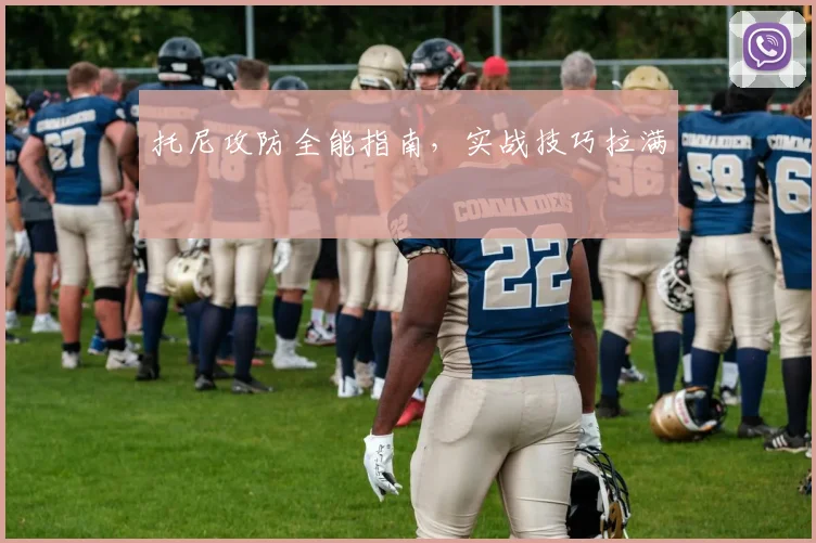 托尼攻防全能指南，实战技巧拉满