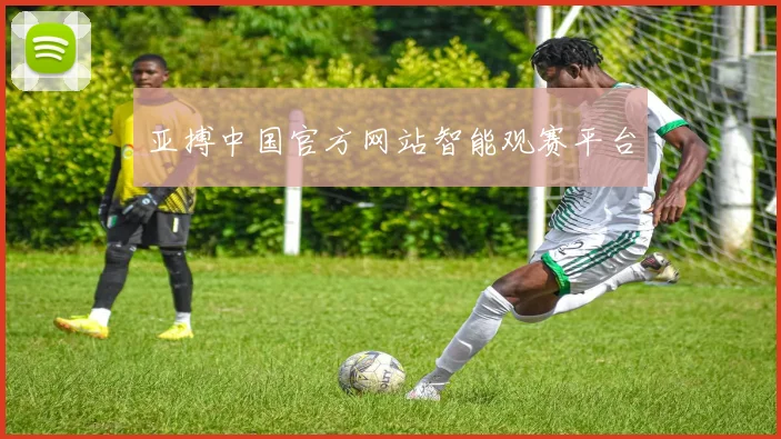 亚搏中国官方网站智能观赛平台
