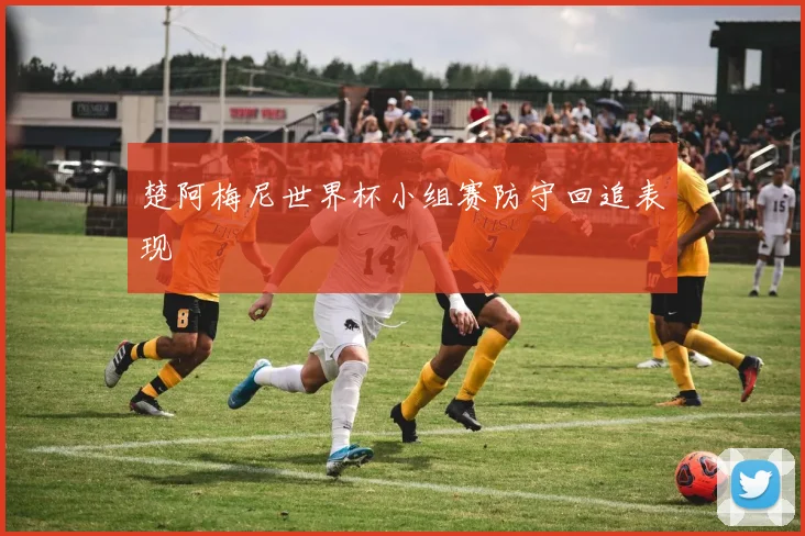 楚阿梅尼世界杯小组赛防守回追表现