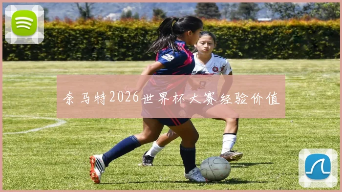 奈马特2026世界杯大赛经验价值