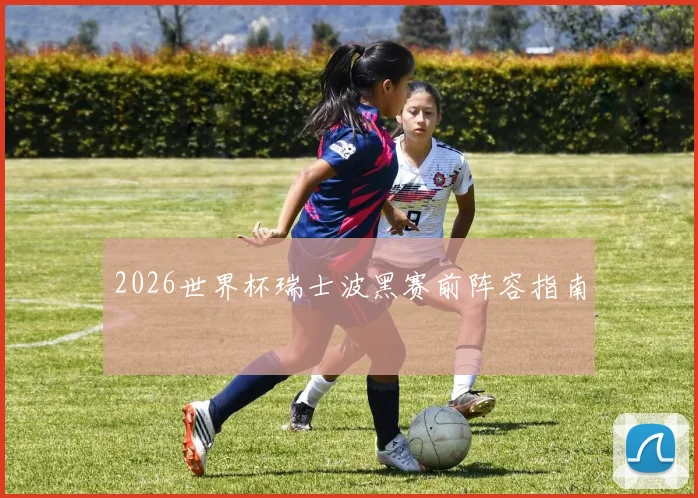 2026世界杯瑞士波黑赛前阵容指南